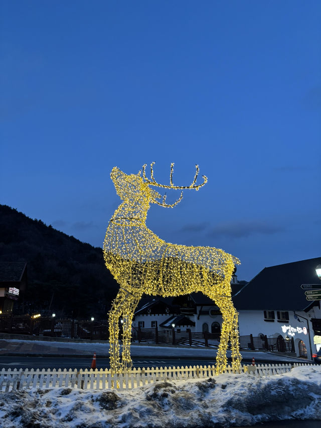 겨울 휴양여행하러 가기 좋은 무주 덕유산리조트😃