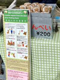 Nara Park: A Magical Meeting with Japan’s Sacred Deer