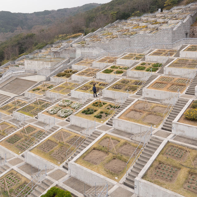 【兵庫】安藤忠雄建築🇯🇵淡路夢舞台