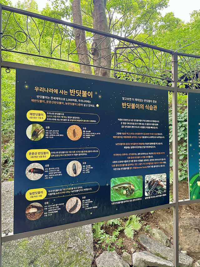 중간 중간 포토존있는 이곳!