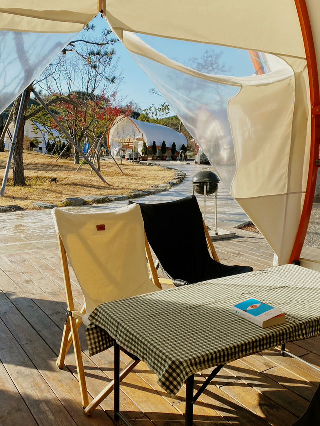 진주 ‘캠핑소사이어티’에서 보내는 특별한 하루! 🏕️✨