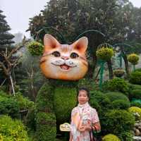 บานาฮิลล์ เมืองเเห่งสายหมอก 
