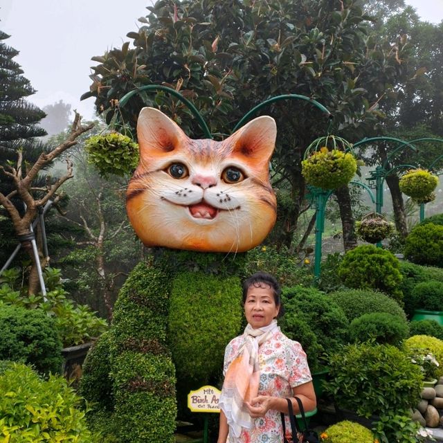 บานาฮิลล์ เมืองเเห่งสายหมอก 