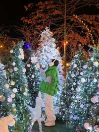 여친 데려가면 칭찬받을 크리스마스카페🎄