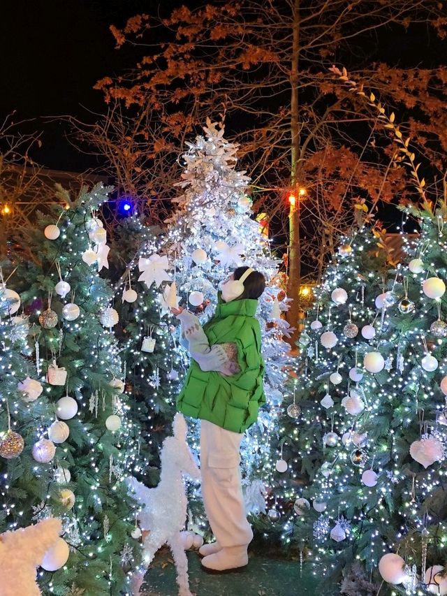 여친 데려가면 칭찬받을 크리스마스카페🎄