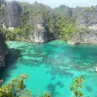 A Paradise Found: My Unforgettable Journey to Raja Ampat!