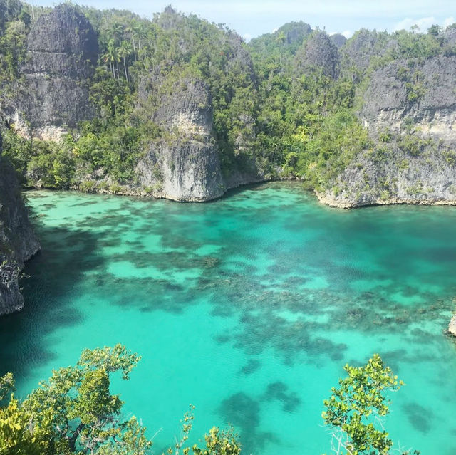 A Paradise Found: My Unforgettable Journey to Raja Ampat!