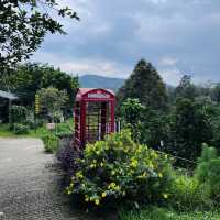 Bentong Farm Natural Gems 