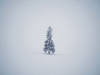 My First Trip to Hokkaido