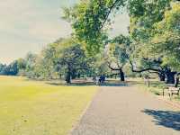 旅遊遊記:探索東京的綠洲——新宿御苑🌳🌼🌻