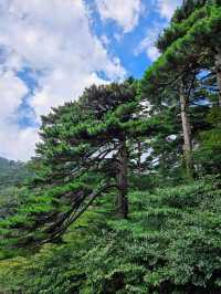 Huangshan Mountain 