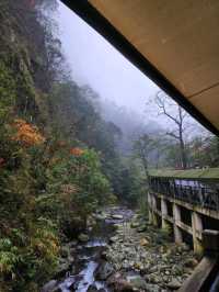 ✨Closest Point to Heaven in Guizhou✨