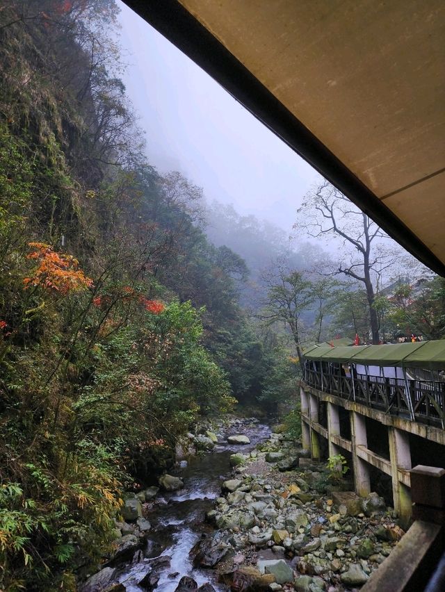 ✨Closest Point to Heaven in Guizhou✨