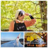 New destination for yellow leaves @ Tengchong, China