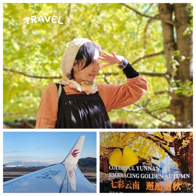 New destination for yellow leaves @ Tengchong, China