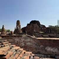 วัดมหาธาตุ จ.พระนครศรีอยุธยา