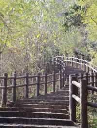 Timeless Beauty: Exploring Huangshan National Park in Summer and Autumn