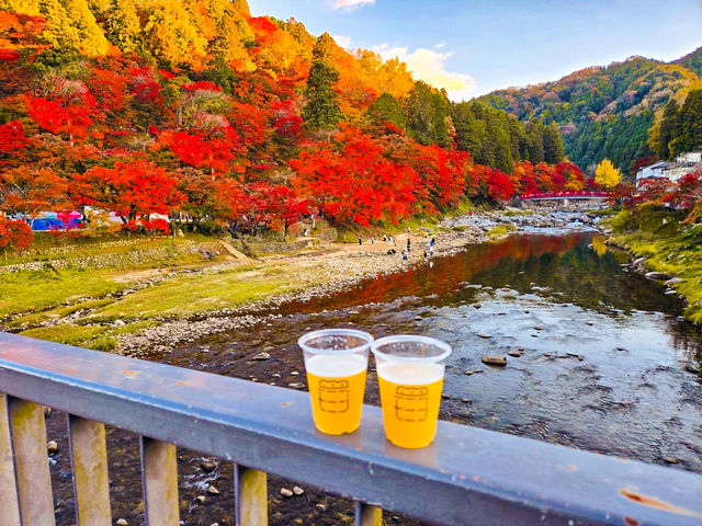 【愛知】香嵐渓✨🍁紅葉が彩る秋の絶景