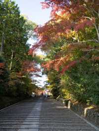 🍁✨ 秋の光明寺で紅葉のトンネルを体感しよう ✨🍁