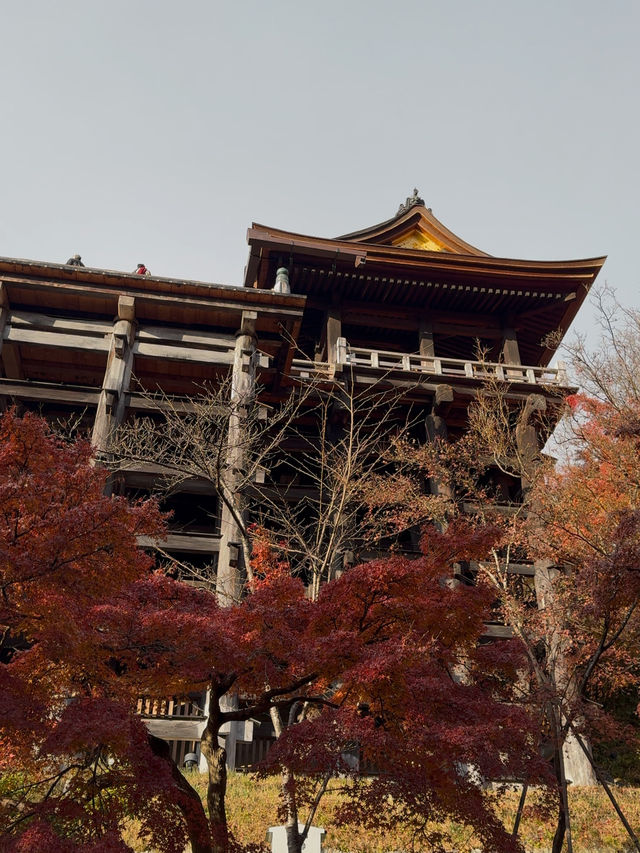 First Snowfall at Kiyomizudera: A Magical Winter Scene with Rainbow and Sunset
