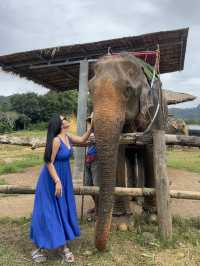 Elephant Ride in Krabi