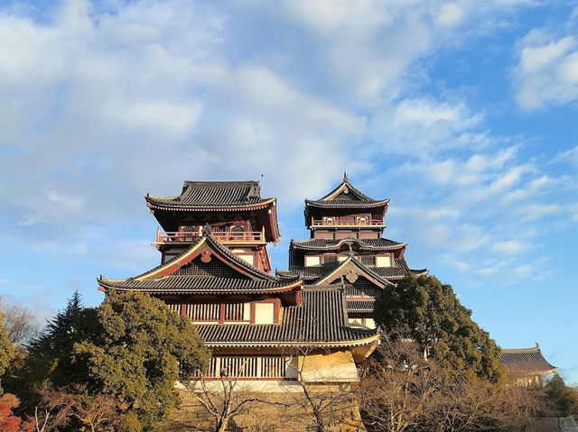 豊臣秀吉の御隠居として有名🤍【伏見桃山城】