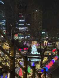 작년보다 더 화려해져 산책하기 좋은 서울 빛축제 추천🎄