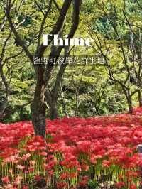 【紅の幻想】
