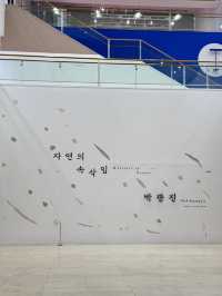 서울 무료전시회 추천 ,자연의속삭임 박광진