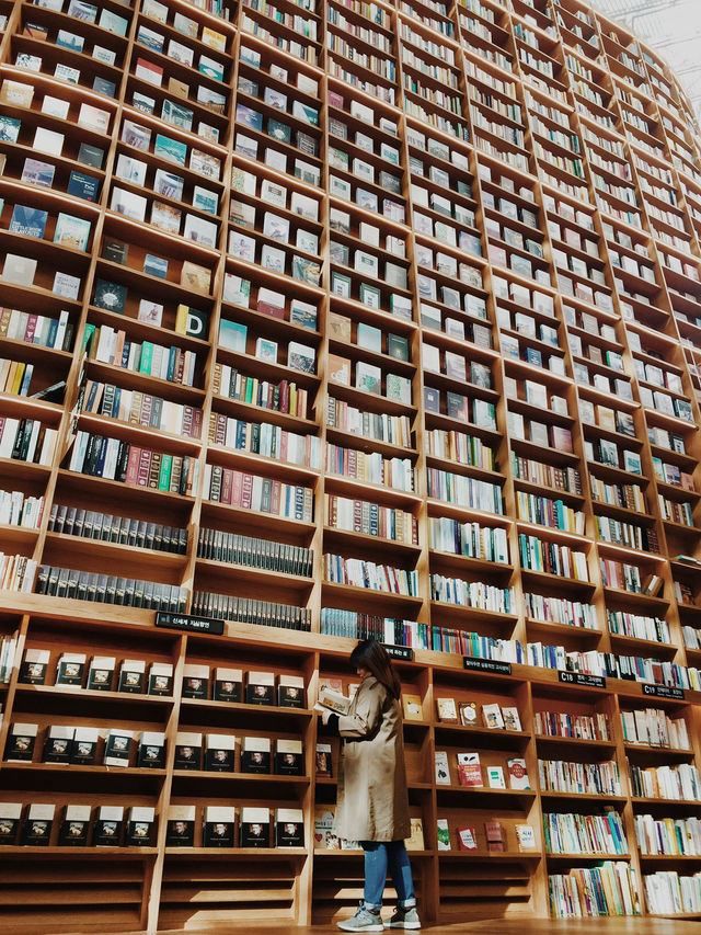 Gangnam: Seoul’s Trendy District of Luxury and Style