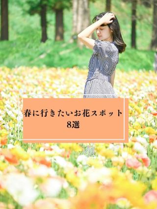 【봄을 선취】 전국 추천 꽃 명소 🌼