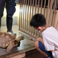【 超夢幻非一般的海洋體驗 | DMM水族館 】