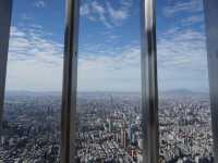 Wind in Your Hair, City Below: Taipei 101’s Outdoor Observatory