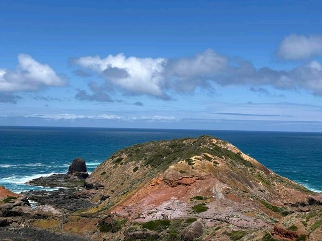 A Whisker Away from Paradise: Cape Schanck Wonders