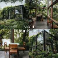 16 คาเฟ่บรรยากาศสุดกรีน “กรุงเทพฯ” ☕️🍃💚