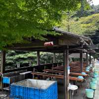 白糸の滝