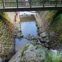 白糸の滝