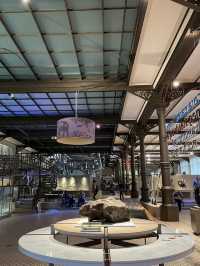 Museum of Natural Sciences Brussels: A Journey Through Time and Evolution