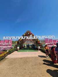 สวน เบญจมาศบานในม่านหมอก วังน้ำเขียว