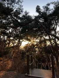 수원화성 서쪽 팔달산 정상에 숨겨진 비밀 출입구 서암문🇰🇷