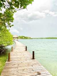 Menjangan Island; Bali’s Secret Dive Site