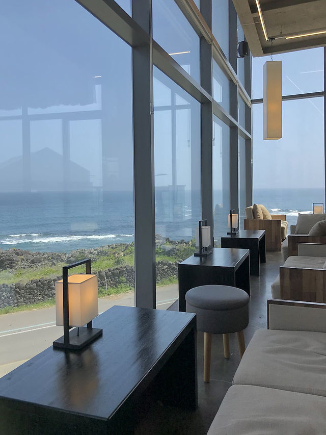 야자수🌴+오션뷰🌊 =경치 좋은 제주 카페 아오오