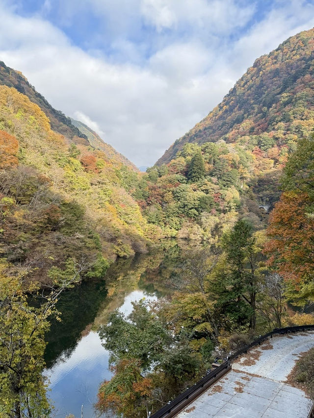 【山梨県】浄化のパワースポット！板敷渓谷