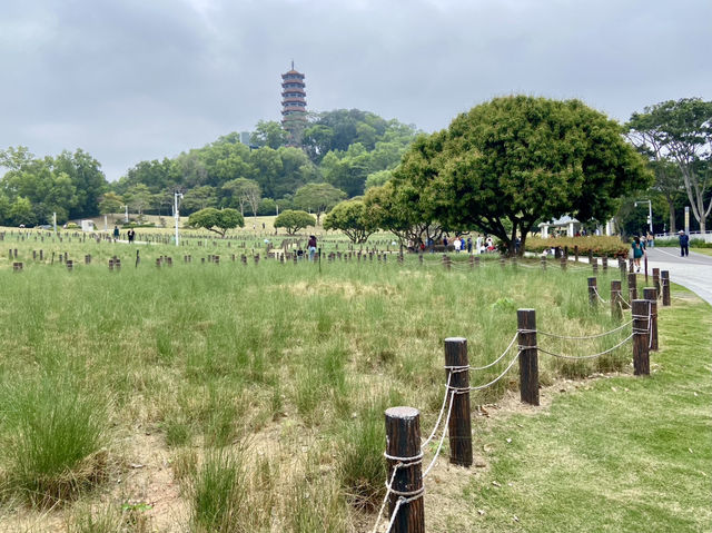 深圳景點推薦✨ 紅花山公園🏞️💕