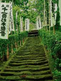 景點推薦：東京近郊・鎌倉報國寺——靜謐竹林中的禪意世界