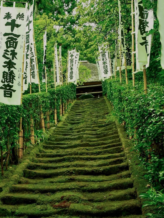景點推薦：東京近郊・鎌倉報國寺——靜謐竹林中的禪意世界