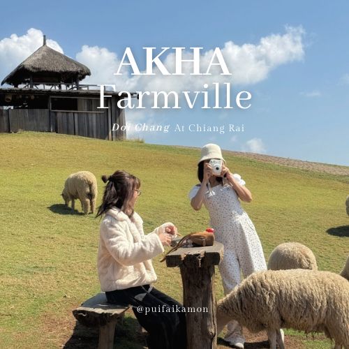 อาข่า ฟาร์มวิลล์ (Akha FarmVille) 🐑🌳🍃 