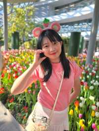 🌸 Miracle of Natural – สวนดอกไม้เมืองหนาวระยอง❄️ 