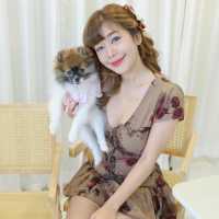 ใบชา & ยาไทย - Organic Tea & Coffee