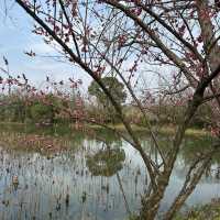 Review of Small Luxury Hotels of The Word-Hangzhou Muh Shoou Xixi Hotel